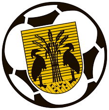 Voetbalvereniging Reiger Boys Logo